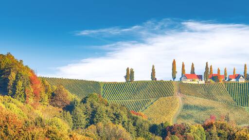 Breathtaking vineyards landscape in South Styria near Gamlitz.