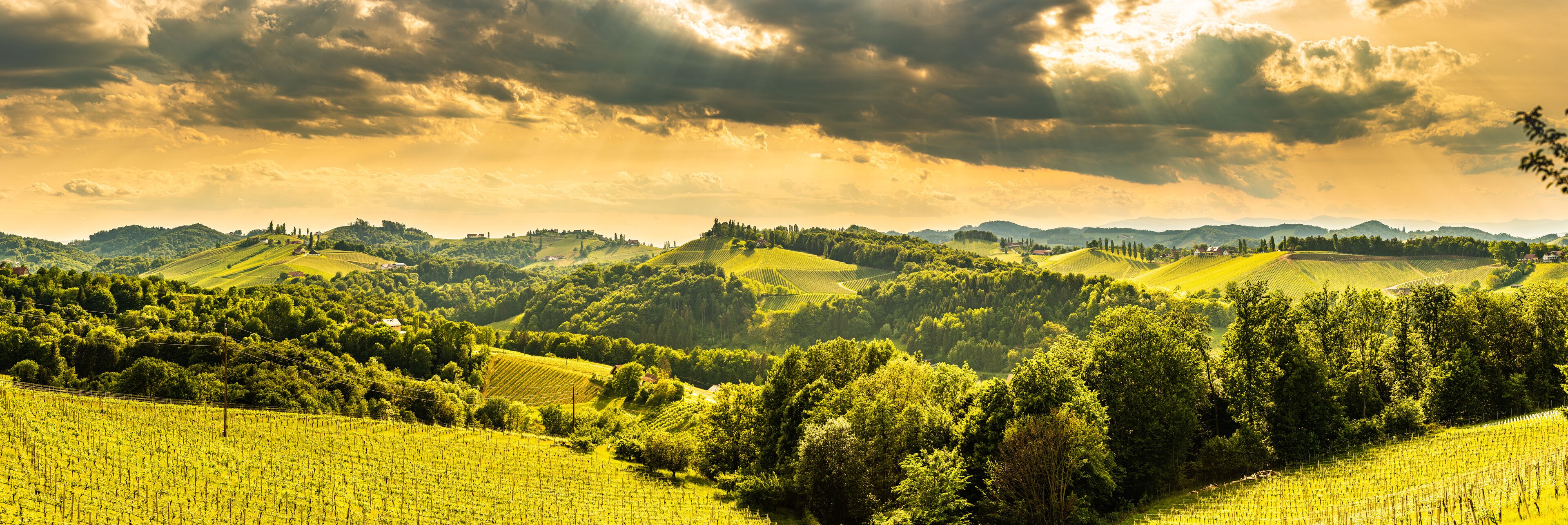 South styria vineyards landscape, near Gamlitz, Austria, Eckberg, Europe. Grape hills view from wine road in spring.