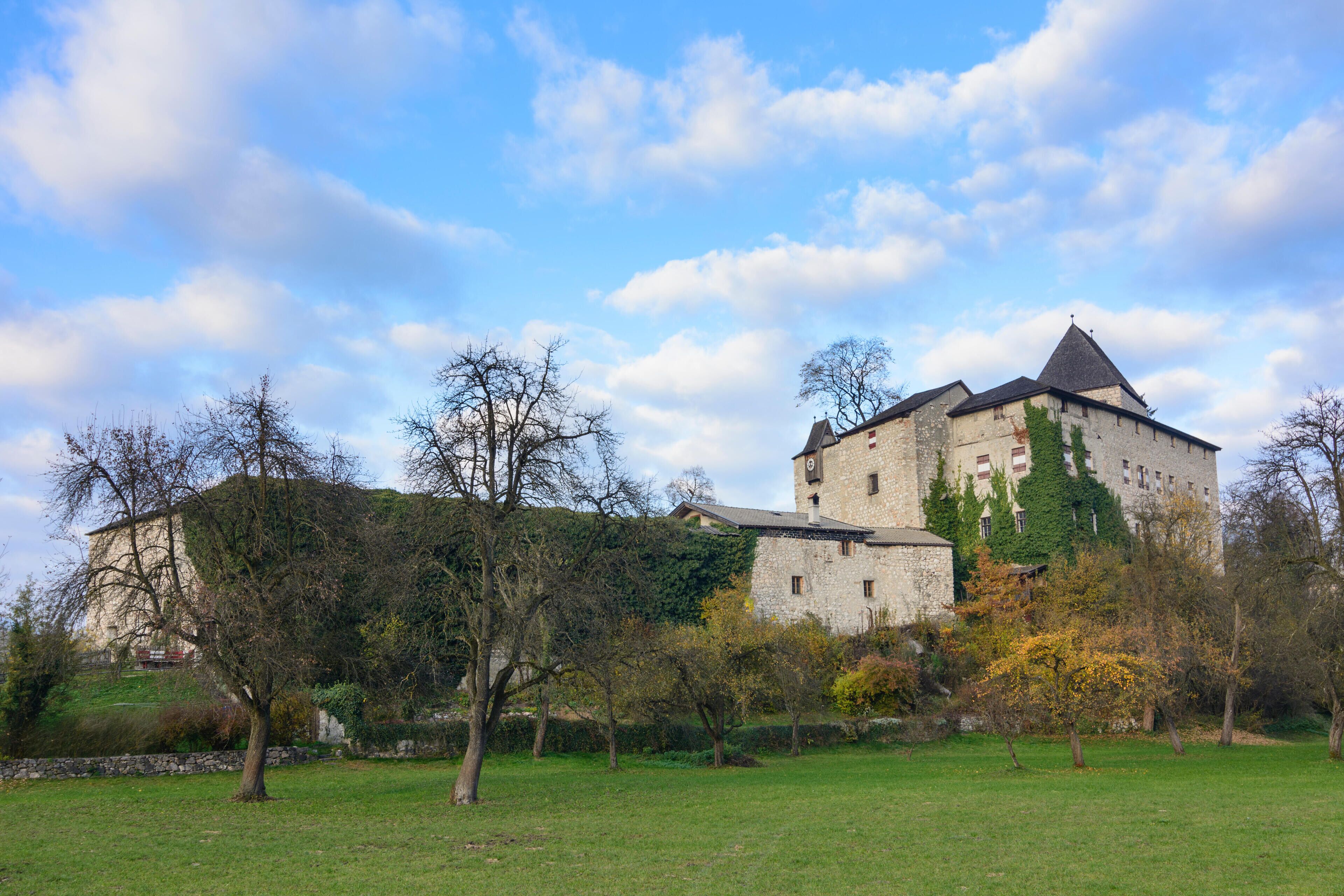 A historic stone castle with a tower, surrounded by a grassy field and trees.