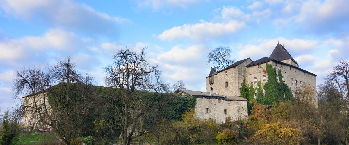 A historic stone castle with a tower, surrounded by a grassy field and trees.
