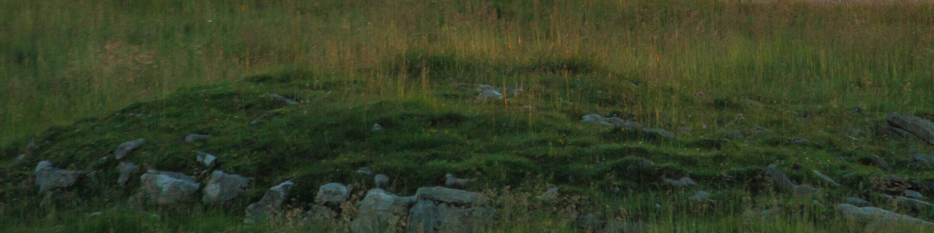 We spent the night in the mountains and in the morning there was one big group of chamois standing in the light of the rising sun.
#wildlife