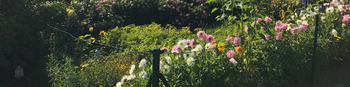 idyllic tableau in the Viennese Alps
