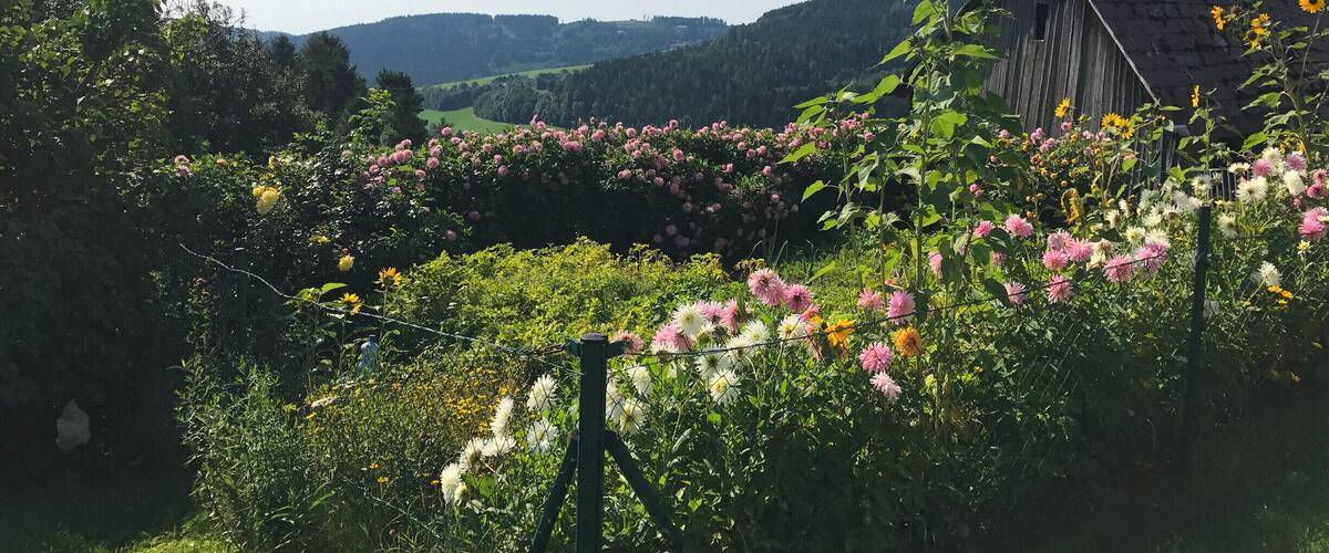 idyllic tableau in the Viennese Alps