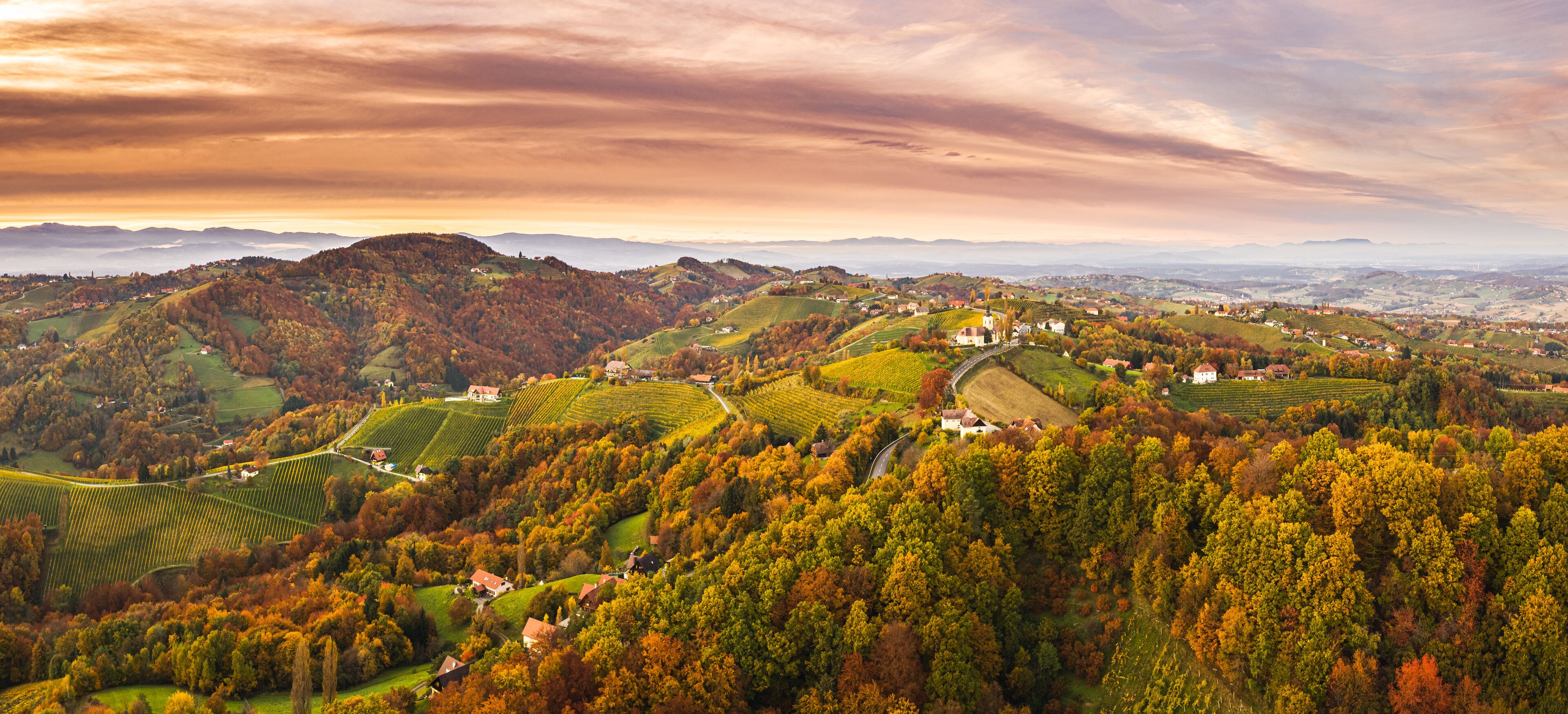 Aerial panorama of Vineyard on an Austrian countryside with a church in the background
