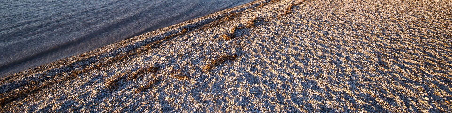 A pebbly beach with calm water, a clear sky, and distant trees.