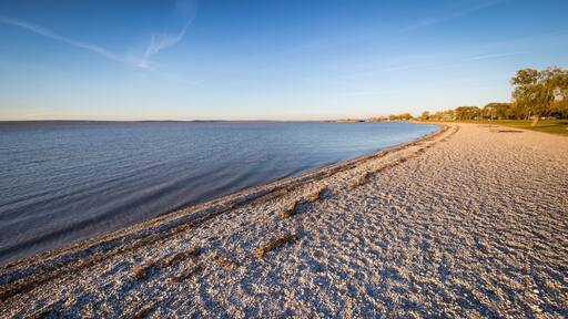 A pebbly beach with calm water, a clear sky, and distant trees.