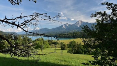 The rugged beauty of Carinthia is widely overlooked. Hundreds of splendid lakes speckle a landscape marked by high peaks and gouged valleys, most notably the Grossglockner, Austria's largest mountain