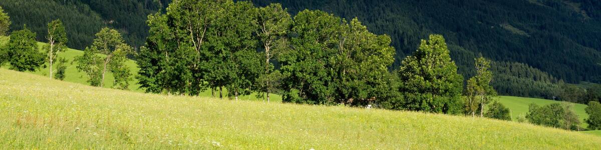 Landscape near Annaberg