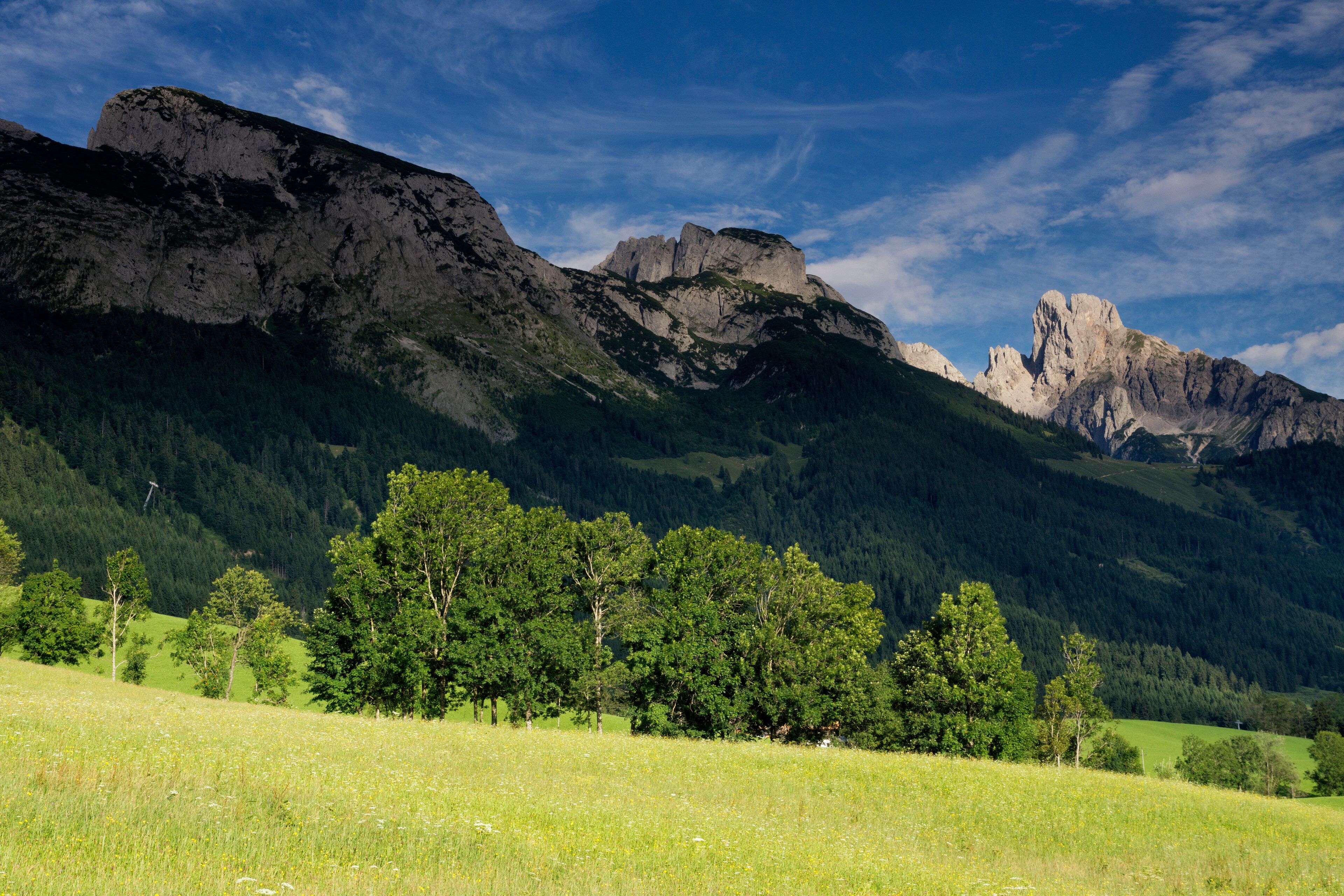 A mountainous landscape with a prominent rocky peak, dense forest, and a grassy meadow.