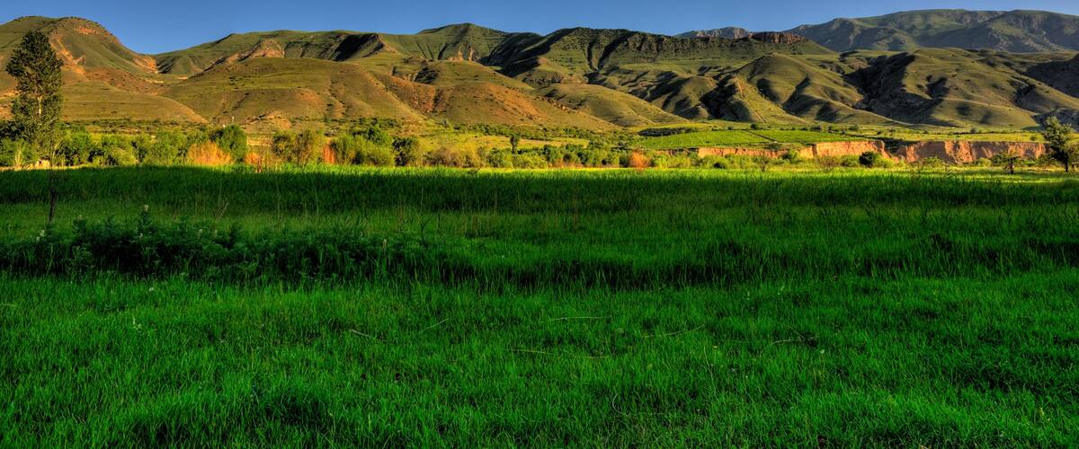 A green field with rolling hills and mountains in the background.