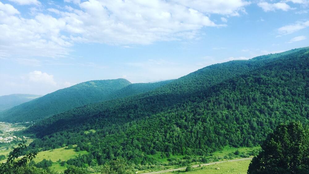 A lush green valley with rolling hills and a clear sky.