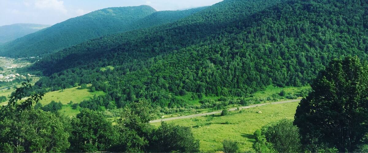 A lush green valley with rolling hills and a clear sky.