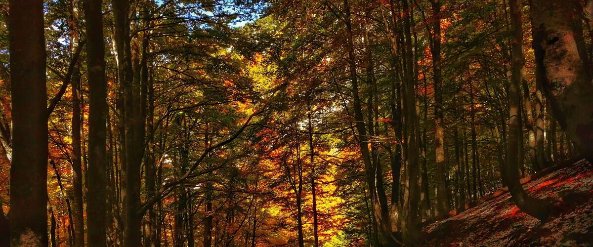 Beautiful #foliage after the first snow at one of the best kept secrets in Europe: Albanian alps. The one day hike from Theth to Valbona offers incredible views over the mountain valleys forests and rivers #autumn #Albania #LifeAtExpediaGroup
