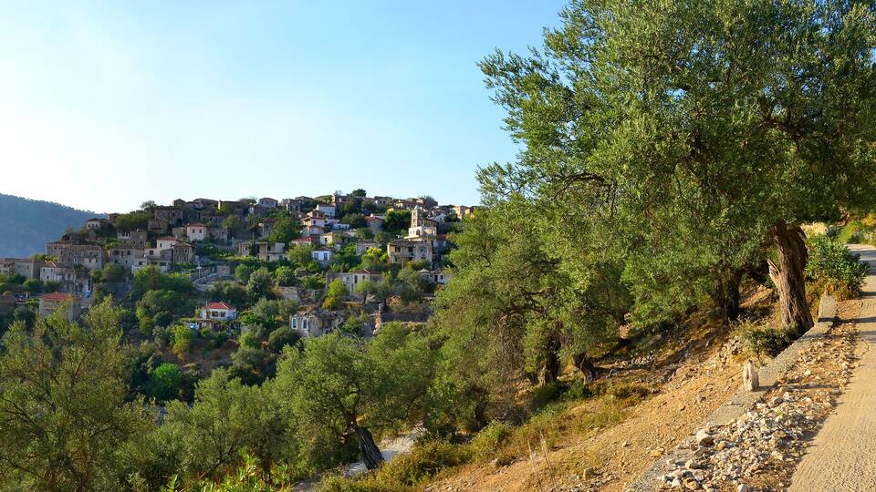A hillside village with buildings nestled among trees and a road leading up the slope.