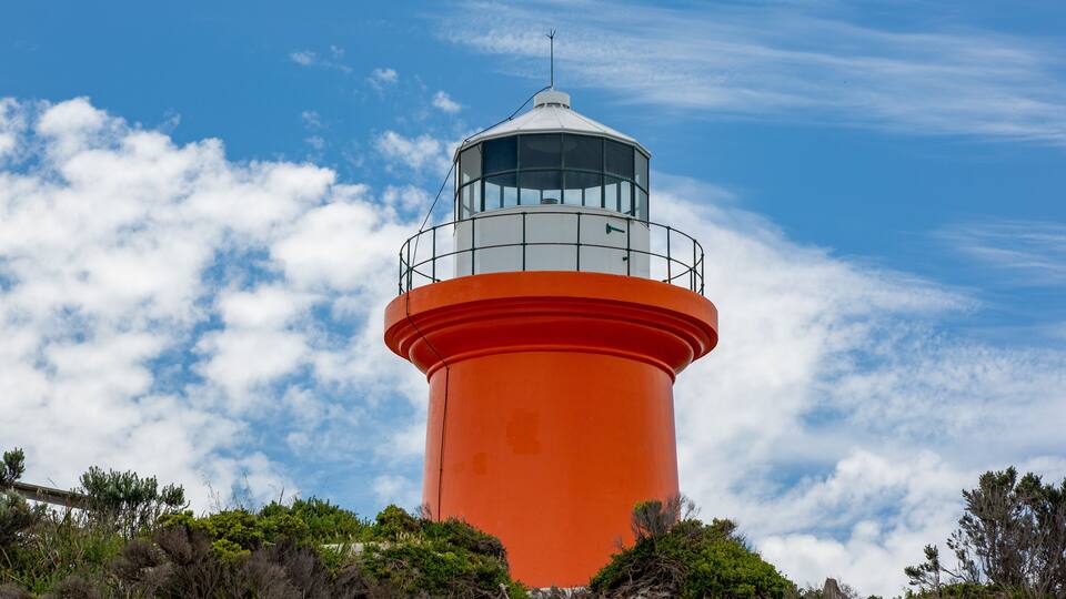 A tall orange lighthouse with a glass dome, surrounded by coastal vegetation.