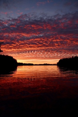 This beautiful sunset was quite the end to an amazing sailing trip. The sun lit up the sky for a good 30 minute sunset!