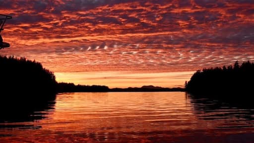 This beautiful sunset was quite the end to an amazing sailing trip. The sun lit up the sky for a good 30 minute sunset!