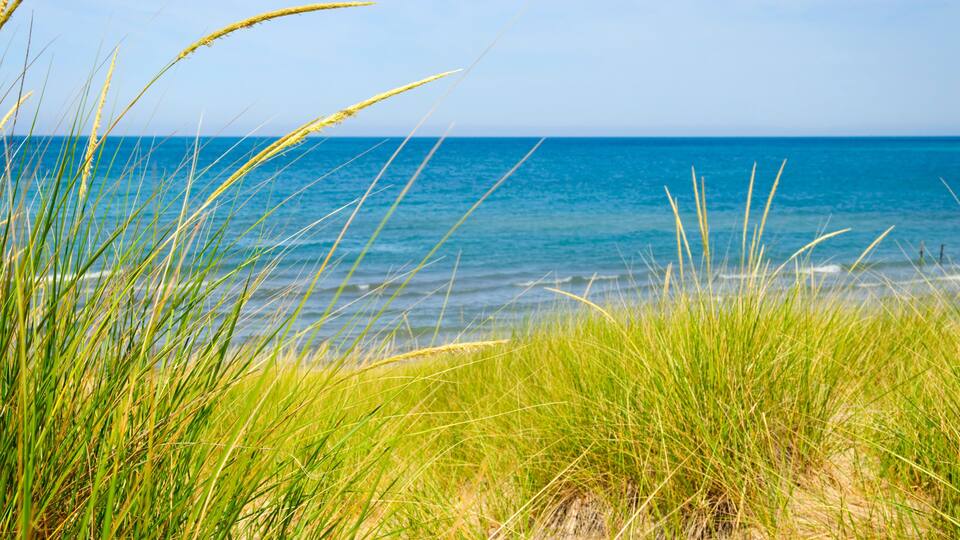 A beach with green grass in the foreground and a clear blue ocean in the background.