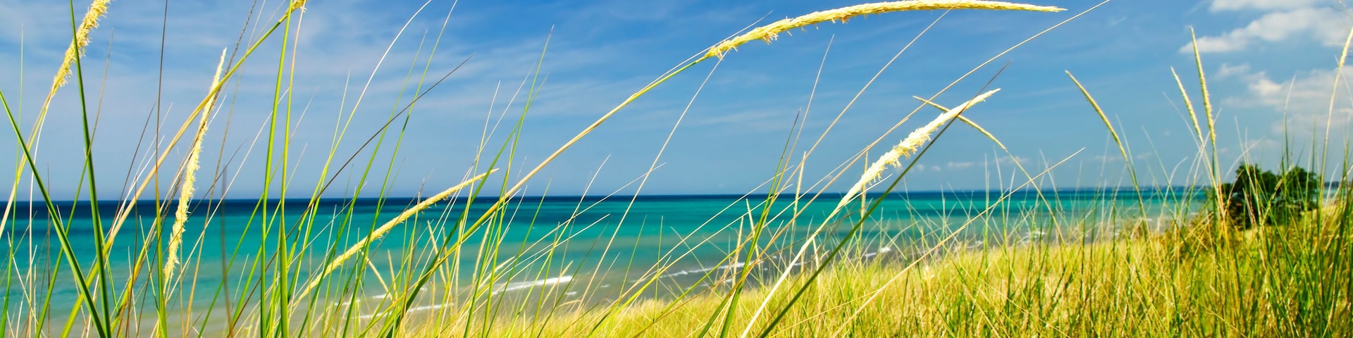 Sand dunes at beach