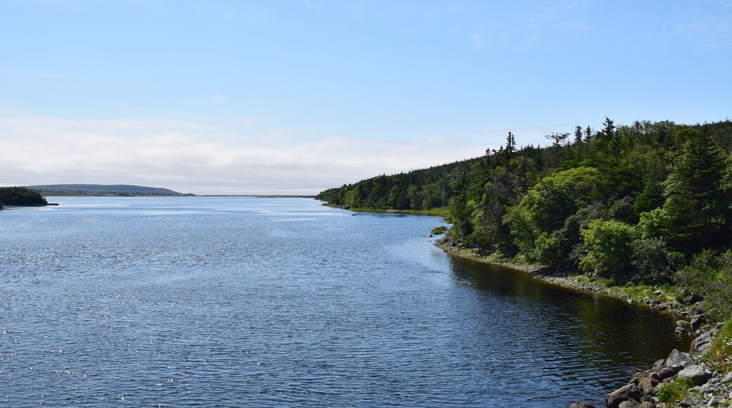 landscape around the Irish Loop; view along East Brook river inlet towards Trepassey harbour with Valna Fad in the background , Avalon peninsula Newfoundland Canada