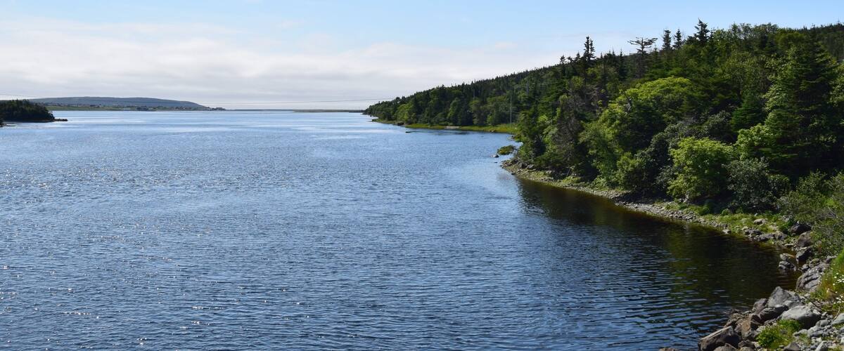 A calm river bordered by dense forest and distant hills.