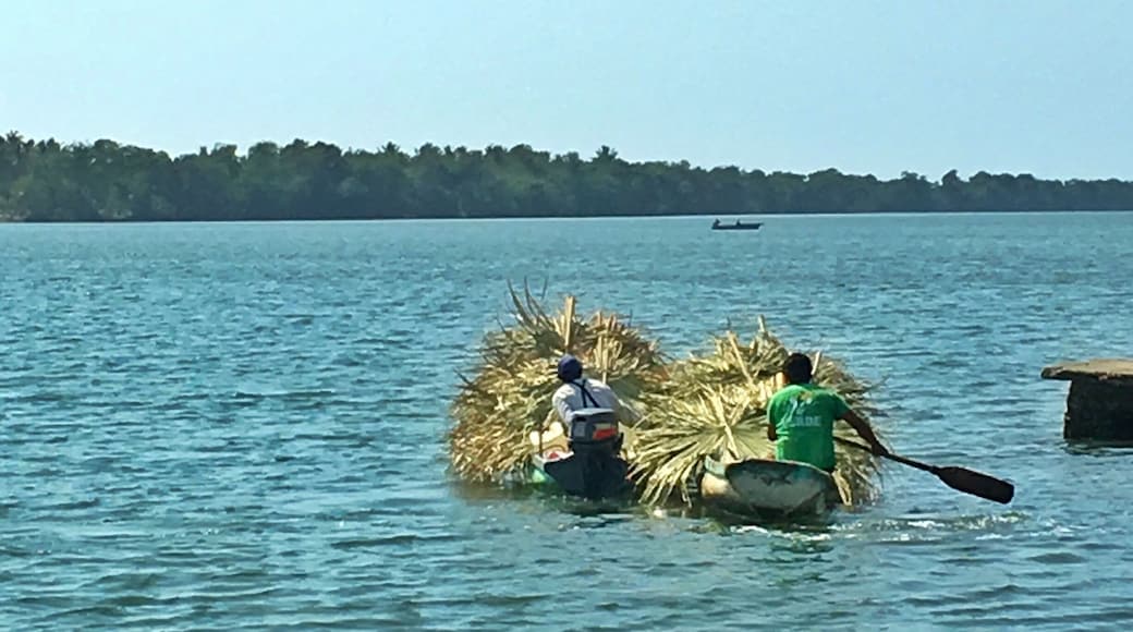 Pijijiapan, Chiapas - crossing the lagoon to the black glittering beach #pacificcoast #chiapas #mexico