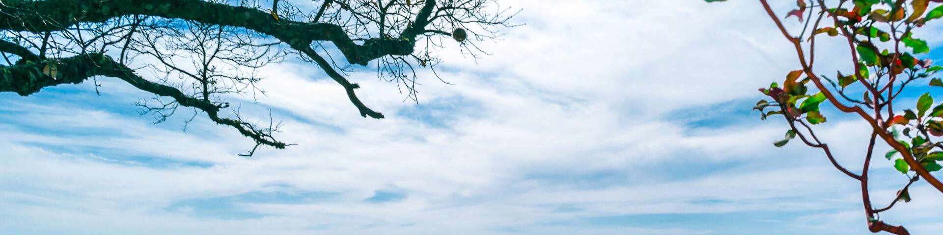 Mountains at Yecora, Sonora, México.