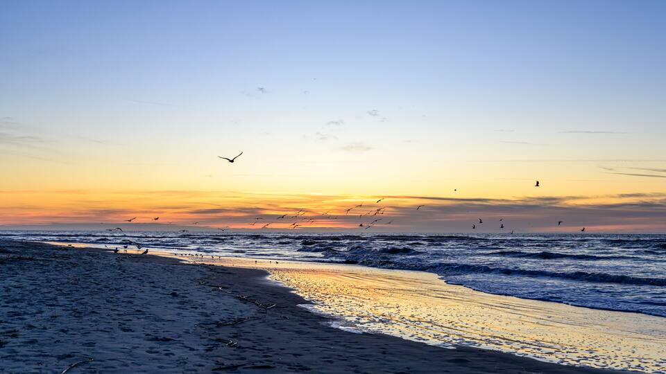 A beach at sunset with waves, birds, and a clear sky.