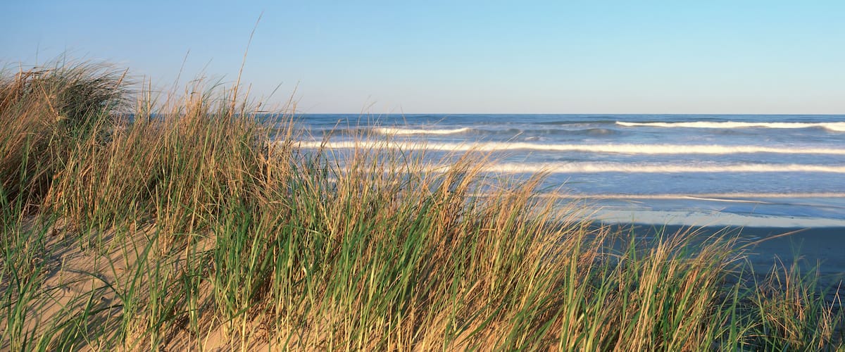 A beach with tall grasses in the foreground and waves crashing on the shore.
