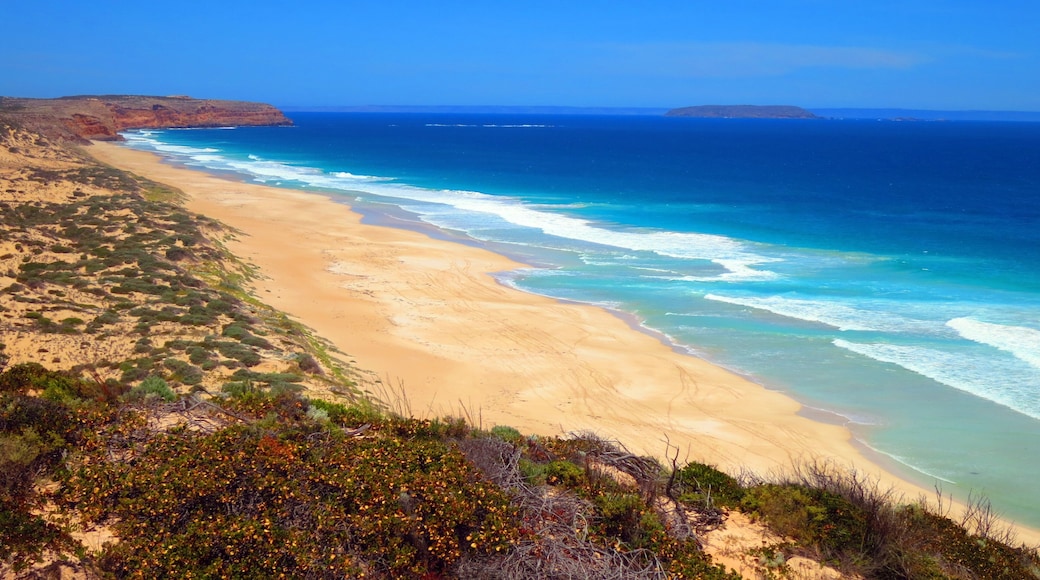 A coastal landscape with a sandy beach, ocean waves, and sparse vegetation.