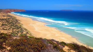 A coastal landscape with a sandy beach, ocean waves, and sparse vegetation.