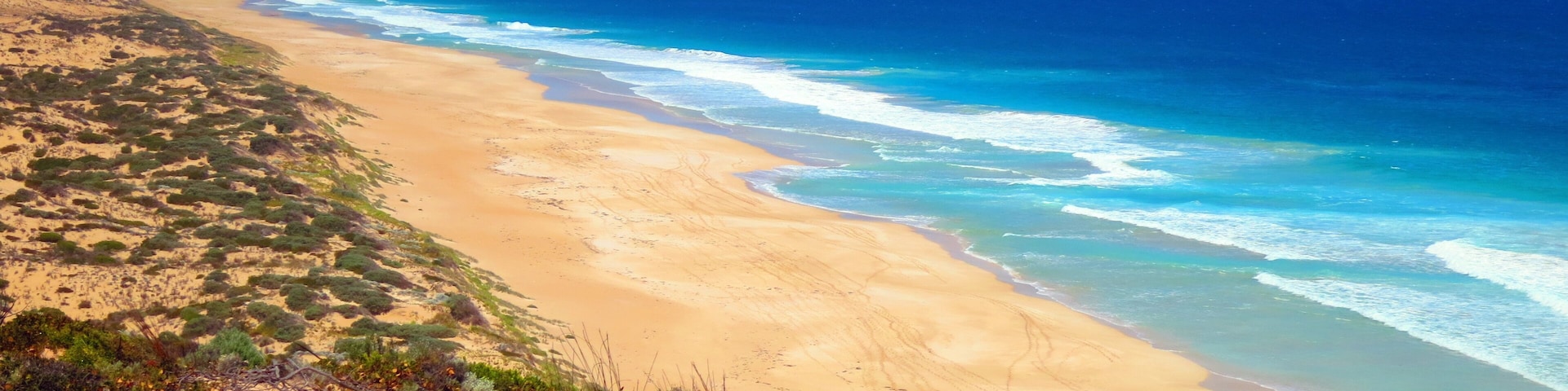 A coastal landscape with a sandy beach, ocean waves, and sparse vegetation.