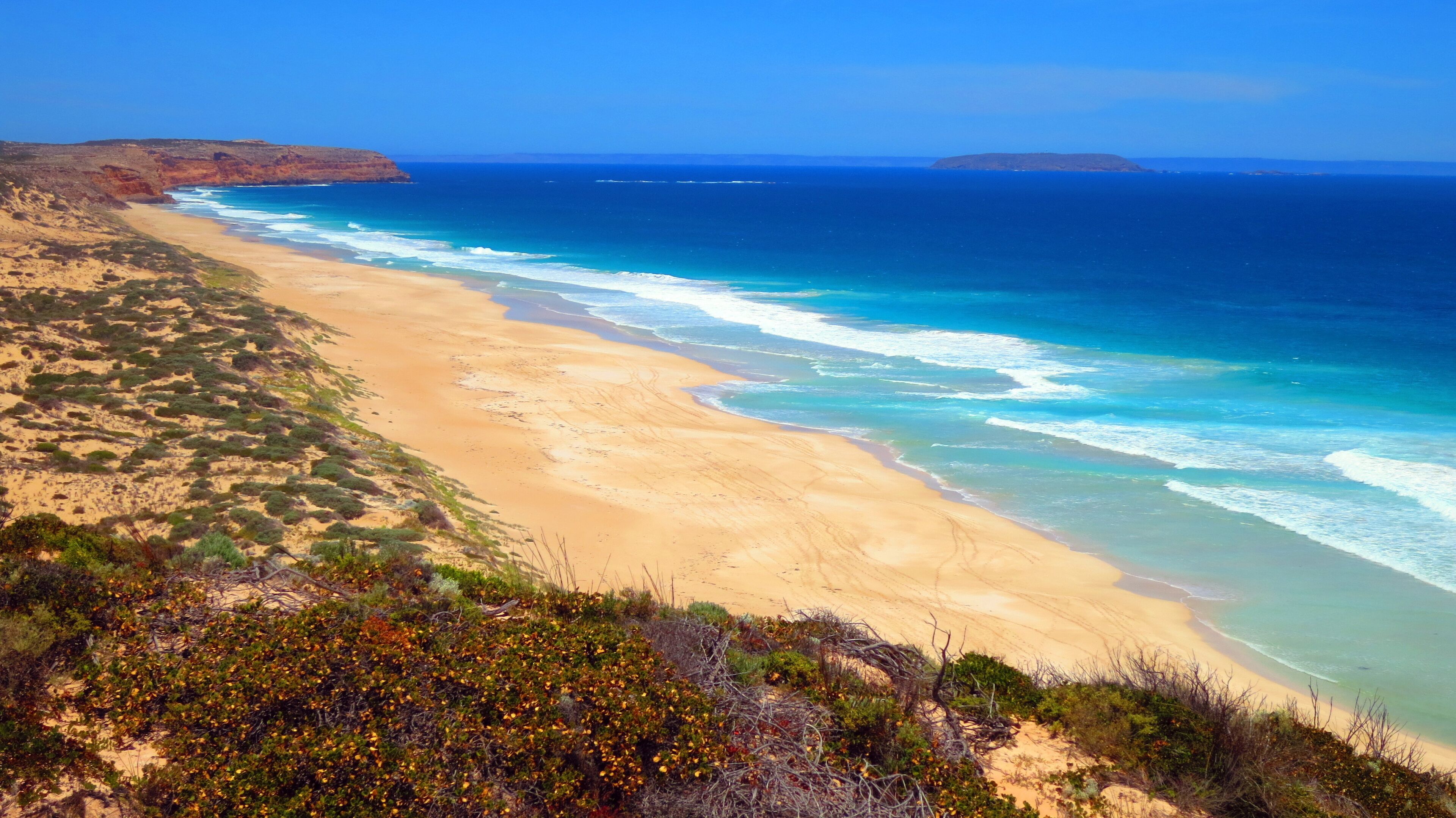 A coastal landscape with a sandy beach, ocean waves, and sparse vegetation.