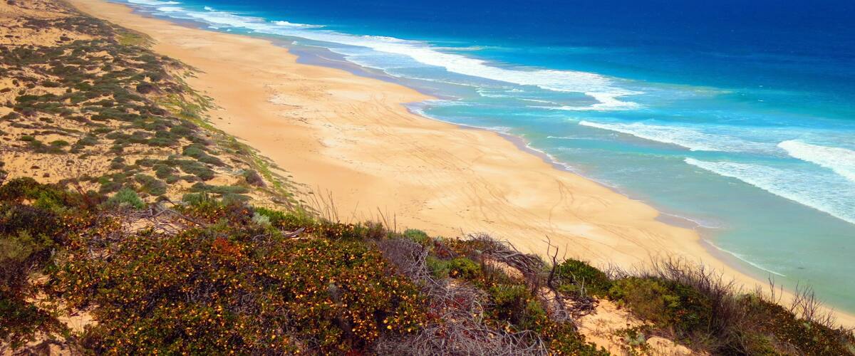 A coastal landscape with a sandy beach, ocean waves, and sparse vegetation.