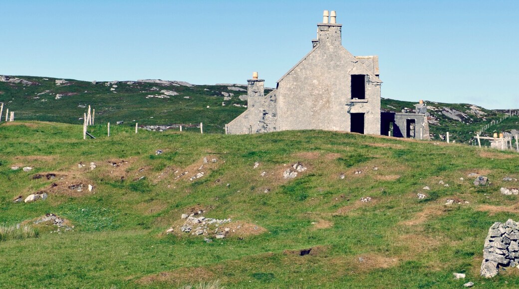 Further Delapidation