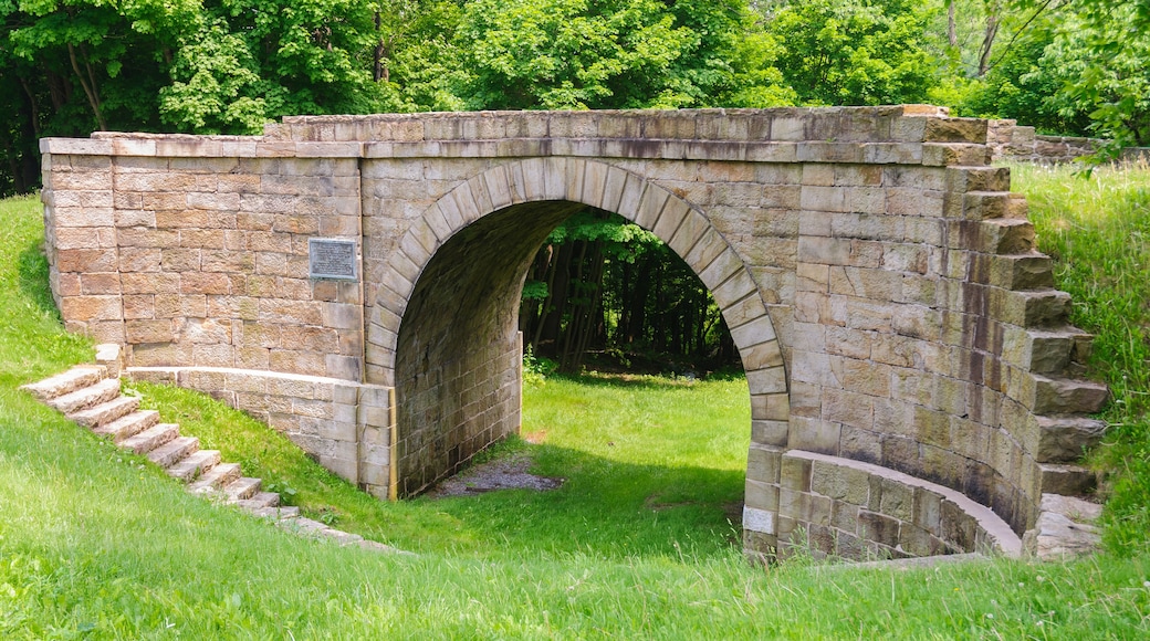 ๋ฐ๋ผ ์ ์๋