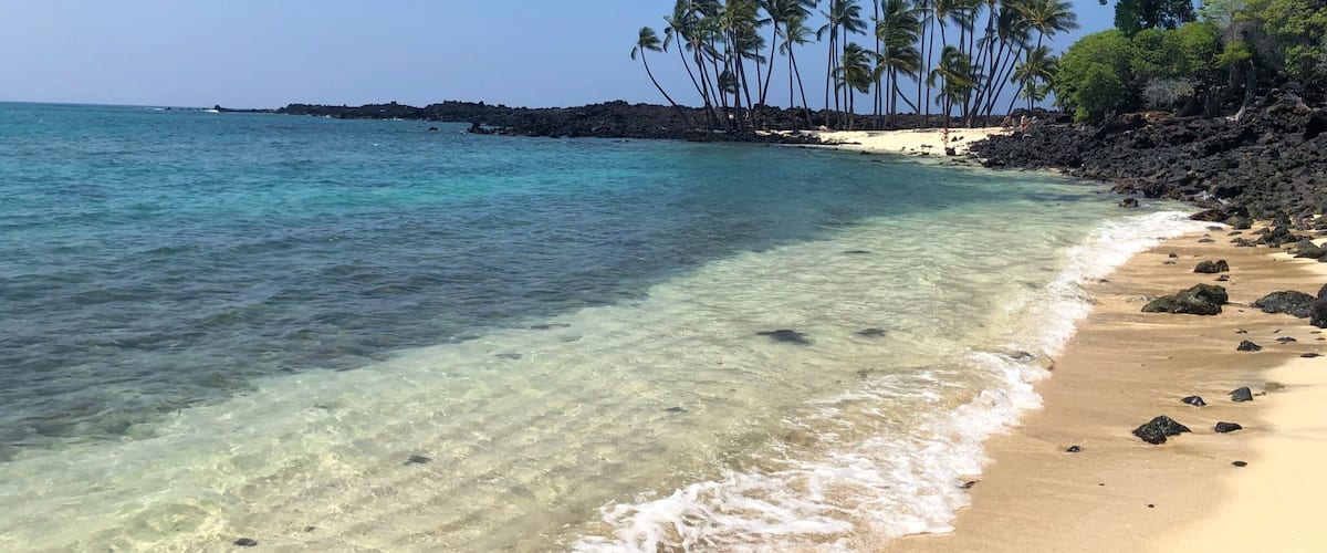 We discovered this serene little beach last month. After turning off the highway there is a 2 mile drive over rocky unpaved terrain, but if you take it slow any kind of car should be able to traverse it. Our compact rental car did great. There is a parking area, and then a trail through the lava fields to the beach (less than a ten minute walk).  There’s plenty of tree cover providing natural shade if you don’t feel like taking an umbrella. We saw dozens of turtles bobbing around in the water and the rocky bay provides great snorkeling opportunities. In our 4 days on the big island this was by far my favorite beach #lifeatexpedia 
#beachtips