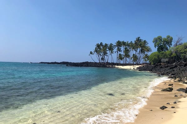 We discovered this serene little beach last month. After turning off the highway there is a 2 mile drive over rocky unpaved terrain, but if you take it slow any kind of car should be able to traverse it. Our compact rental car did great. There is a parking area, and then a trail through the lava fields to the beach (less than a ten minute walk). There’s plenty of tree cover providing natural shade if you don’t feel like taking an umbrella. We saw dozens of turtles bobbing around in the water and the rocky bay provides great snorkeling opportunities. In our 4 days on the big island this was by far my favorite beach #lifeatexpedia
#beachtips