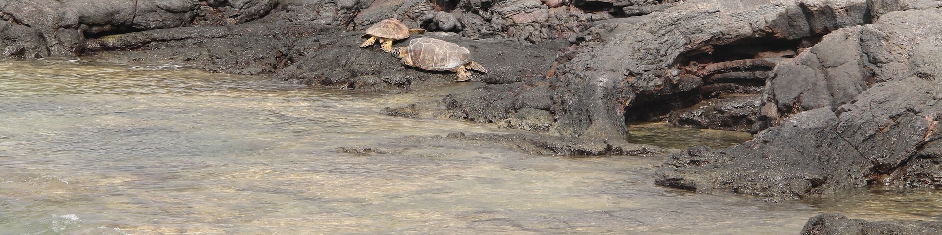 After a very bad road of 2 miles in between lava fields, you get tovthid amazing black sand beach, with nearly no-one, just a few turtles 🐢