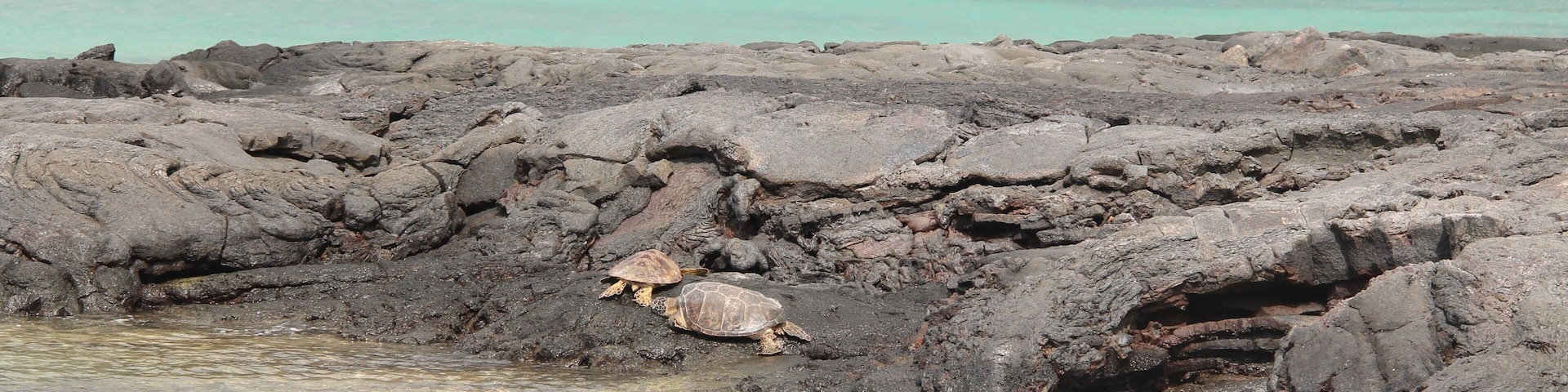 After a very bad road of 2 miles in between lava fields, you get tovthid amazing black sand beach, with nearly no-one, just a few turtles 🐢