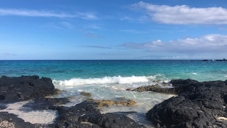 Beautiful spot to watch the dolphins play. #Adventure