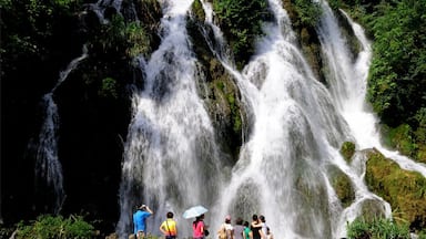 Una cascada en varios niveles rodeada de exuberante vegetación.