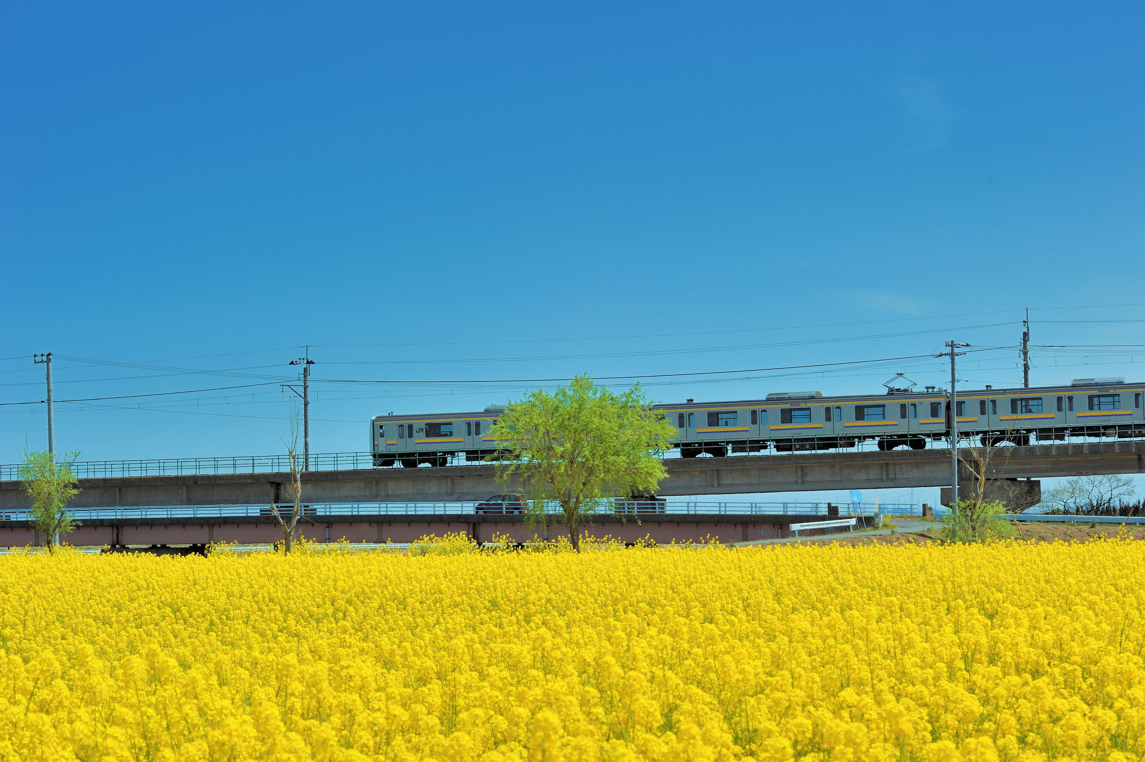 Yellow Train
