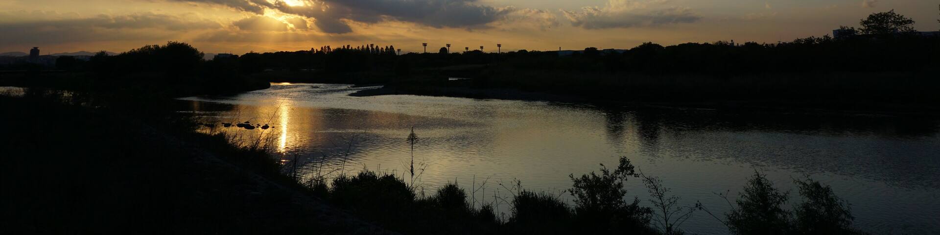 多摩川の夕日(南多摩駅付近)