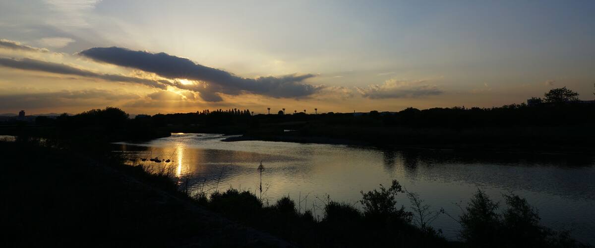 A sunset over a river with reflections, a clear sky, and distant trees.