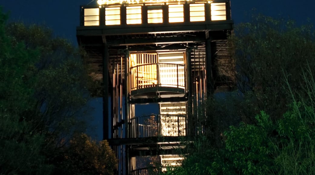 Illuminated Fine Tower in Shiroyama Park in Inagi, Tokyo, Japan.