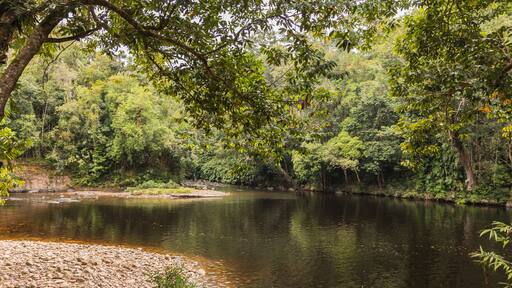 Taman Negara National Park and boottrip on the Tembeling river