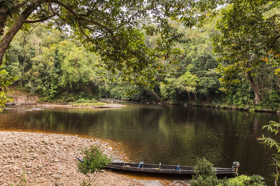 Taman Negara National Park and boottrip on the Tembeling river