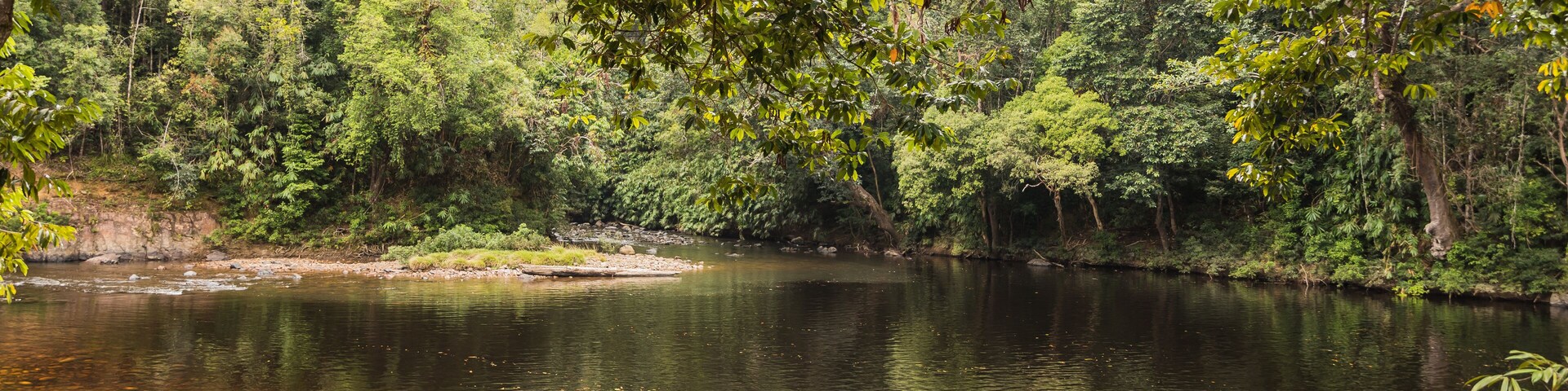 Taman Negara National Park and boottrip on the Tembeling river