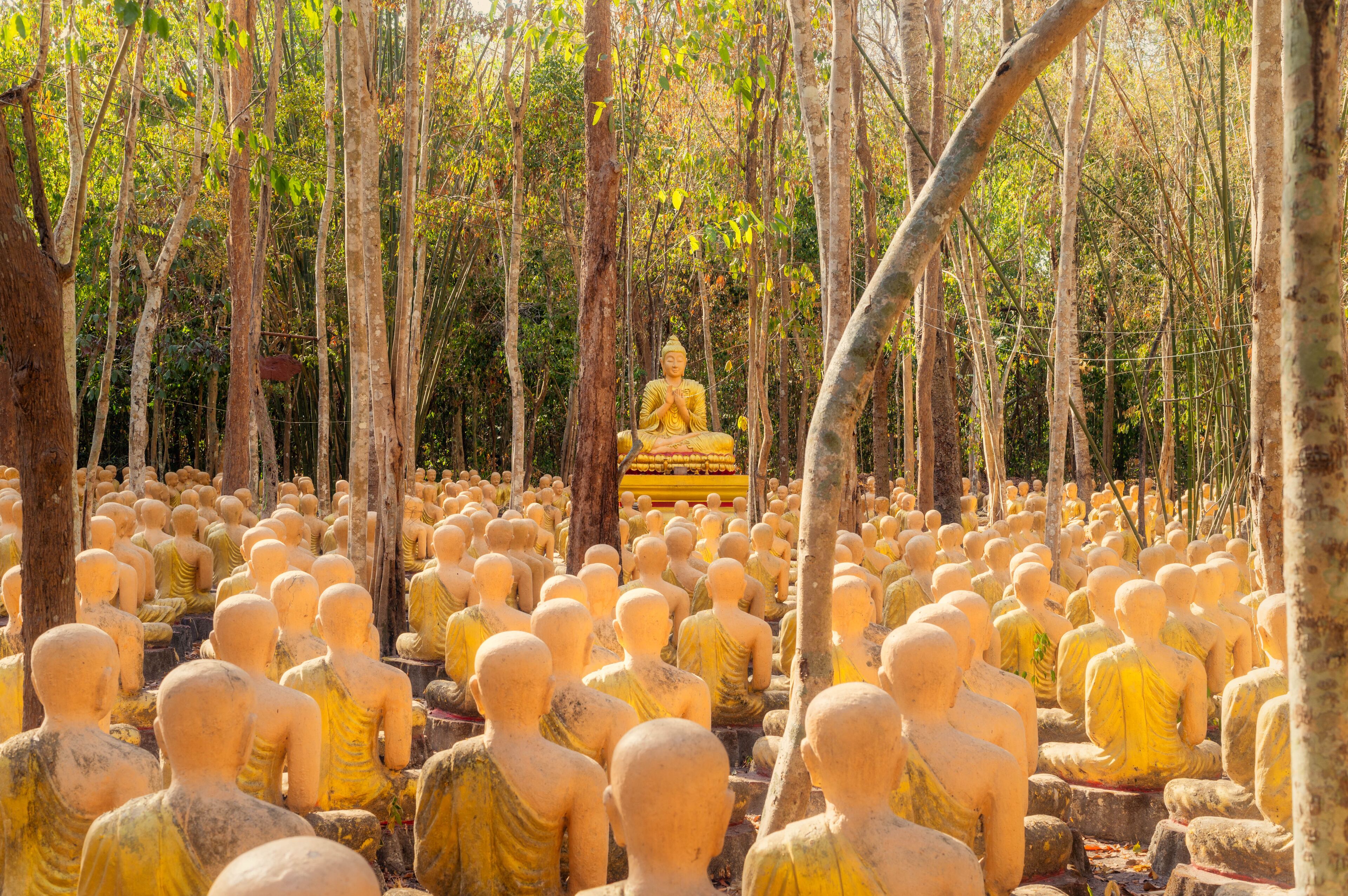 A forest of golden Buddha statues with a central larger statue.